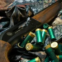 Cum de a cumpăra arme lista de documente necesare pentru a obține licențe pentru achiziționarea de arme