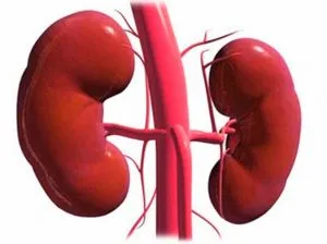 Cum de a trata muscaturile de furnici in casa, cum să se trateze la domiciliu (furnici) Cum de a trata la domiciliu musca furnicile, cum să se trateze la domiciliu
