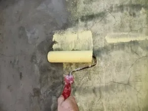 Cum să picteze pregătirea de beton de gard, proces, și producătorii (vopsele) Cum să picteze gard de beton de pregătire, proces și producătorii