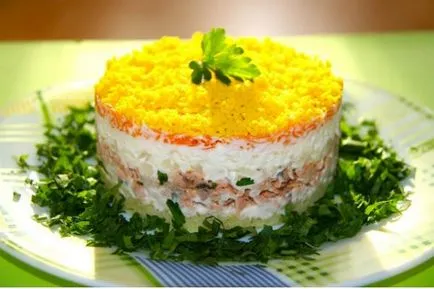 Cum frumos pentru a decora salate cu fotografiile lor hands-pas (pentru a decora) Cum frumos pentru a decora salate cu mâinile-pas fotografia lor