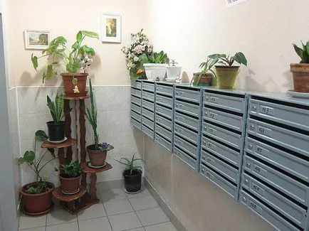 Cât de frumos decora intrarea (intrarea) Cum de a decora o scară frumoasă