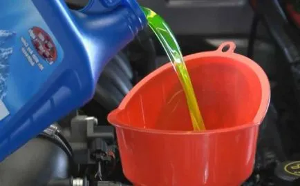 Cum de a opri antigel culori diferite sfaturi potrivite și instrucțiuni (de flori) Cum de a opri antigel culori diferite sfaturi dreapta și instrucțiuni
