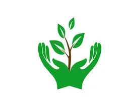 Cum de a desena un poster pe tema - să aibă grijă de plante!