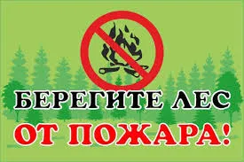 Cum de a desena un poster pe tema - să aibă grijă de plante!