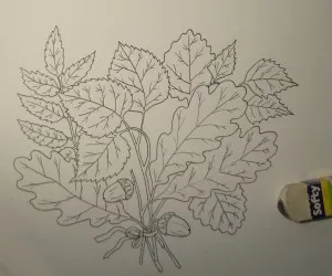 Cum de a desena o frunză, trage un creion în etape, copilul meu