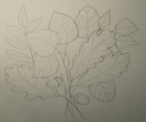 Cum de a desena o frunză, trage un creion în etape, copilul meu