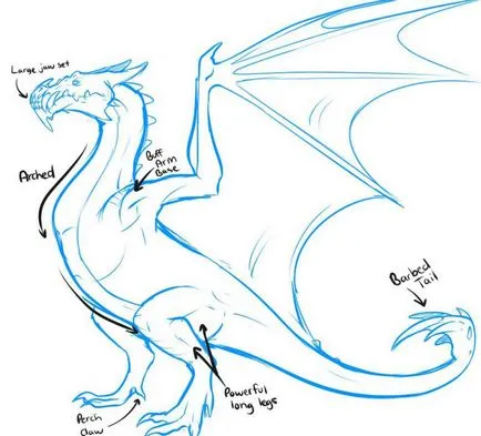 Cum de a desena un pas cu pas dragon