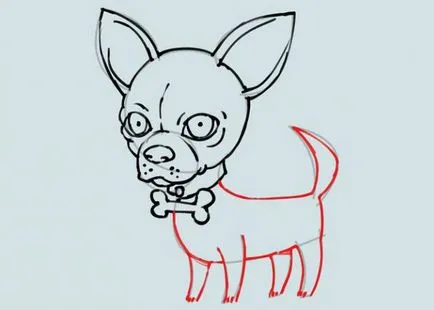 Cum de a desena un caine Chihuahua - Sfaturi artist