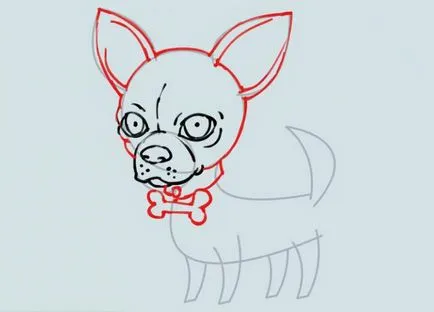 Cum de a desena un caine Chihuahua - Sfaturi artist