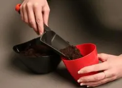 Cum de a cultiva pământul înainte de plantare răsaduri
