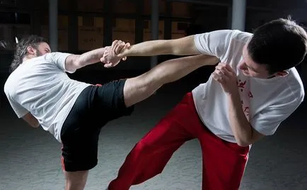 Cum să învețe kung fu 1