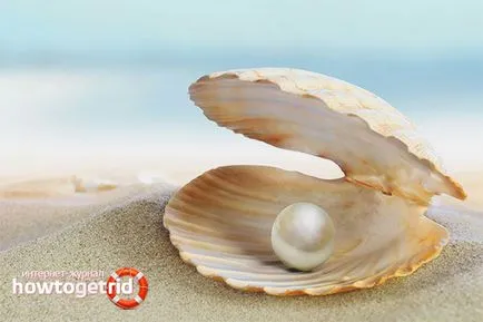 Ca perlele formate în mantaua