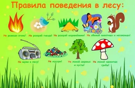 Reguli de conduită în pădure pentru copii și studenți