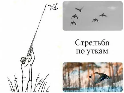 Reguli și caracteristici ale Ochire pentru diferite tipuri de păsări de joc cu instrucțiuni video de