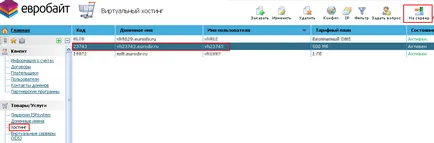 Cum de a publica un site pe internet