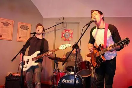 Cum de a organiza un concert al unui artist