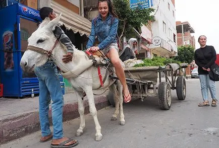 Cum părăsite stațiunile egiptene încearcă să supraviețuiască fără a turiștilor români călătoresc opinie (egiptean) Cum părăsite stațiunile egiptene încearcă să supraviețuiască fără a turiștilor români care călătoresc opinii