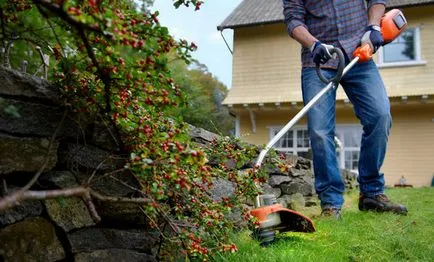Care trimmer electric este cel mai bun sfaturi și recomandări cu privire la alegerea (trimmer electric unele comentarii mai bune) Care trimmer electric este cel mai bun sfaturi și recomandări cu privire la alegerea