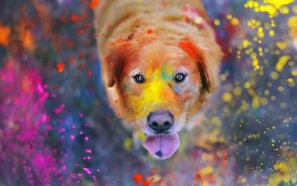 Ce vopsea pentru a picta imaginea de fundal pentru pictura ce să cumpere, non-țesute, pokleit ceea ce este cel mai bine (pictura) Ce vopsea pentru a picta imaginea de fundal pentru pictura ce să cumpere, non-țesute, pokleit ceea ce este cel mai bine