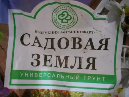 Care este motivul pentru castraveți alege