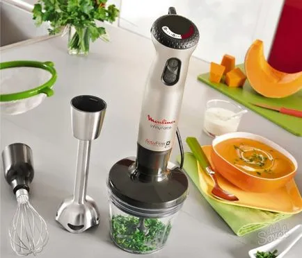 Ce este mai bine pentru a alege un blender - imersie sau staționare (blender) Ce este mai bine pentru a alege un blender - imersie sau staționare