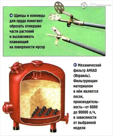 Cum pentru a curăța iaz cu mâinile în țară - din noroi, alge (cum se curata iaz cu mâinile) Cum pentru a curăța iaz cu mâinile în țară - din noroi, alge