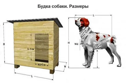 Cum de a construi o incintă adecvată pentru câine (posibilitatea de a observa de mediu) Cum de a construi o incintă adecvată pentru câini
