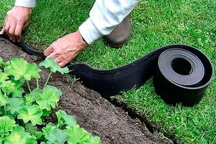 Cum de a planta un gazon cu propriul său pas cu pas instrucțiunile mâini (gazon) Cum de a planta un gazon cu propriul său pas cu pas mâinile