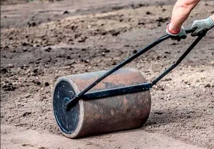 Cum de a planta un gazon cu propriul său pas cu pas instrucțiunile mâini (gazon) Cum de a planta un gazon cu propriul său pas cu pas mâinile