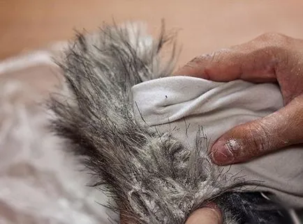 Cum să se spele un guler de blană în jos jacheta pe