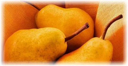 Cum pentru a alimenta becul în primăvară (pere) Cum pentru a alimenta becul în primăvară