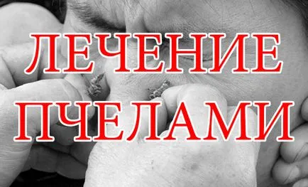 Cum de a trata albine