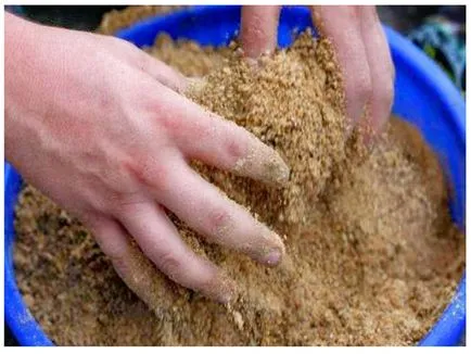 Cum de a atrage pește - ce și cum să atragă pește