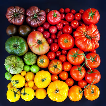 Cum se păstrează produsele alimentare 7 principii principale, salatshop te ♥