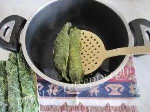 Cum de a găti Dolma la pas acasă cu fotografii de rețete pas