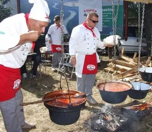 Cum de a găti tocană de pui (reteta) (Cook) Cum de a găti tocană de pui (reteta)