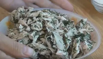 Cum de a găti o plăcintă cu carne de pui si ciuperci cu un pas cu pas fotografii reteta (tort) Cum de a găti o plăcintă cu carne de pui si ciuperci cu un pas cu pas reteta fotografii