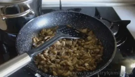 Cum de a găti o plăcintă cu carne de pui si ciuperci cu un pas cu pas fotografii reteta (pui) Cum de a găti o plăcintă cu carne de pui si ciuperci cu un pas cu pas reteta fotografii