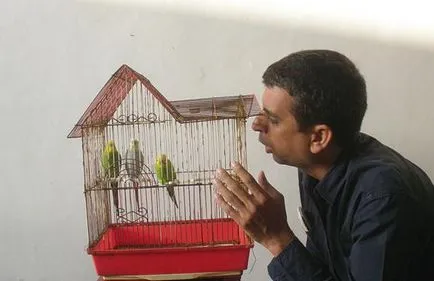Cum de a preda un mâinile pe perus practice sfaturi