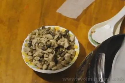 Cum de a găti o plăcintă cu carne de pui si ciuperci cu un pas cu pas fotografii reteta (tort) Cum de a găti o plăcintă cu carne de pui si ciuperci cu un pas cu pas reteta fotografii