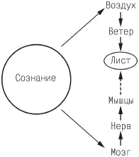 Cum trecutul afectează viitorul (afectează) Cum trecutul afectează viitorul