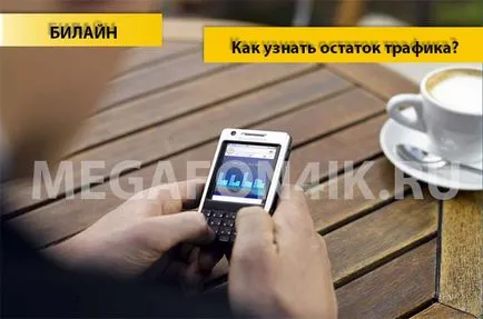 Cum se verifică reziduul pe Beeline de trafic - 4 trafic metoda de verificare a reziduului (test) Cum de a verifica restul traficului pe Beeline - 4 moduri de a verifica soldul traficului