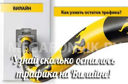 Cum se verifică reziduul pe Beeline de trafic - 4 trafic metoda de verificare a reziduului (reziduu) Cum de a verifica restul traficului pe Beeline - 4 moduri de a verifica soldul traficului