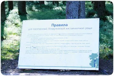 Cum se ajunge acolo și ce să facă Lindulovskaya Grove