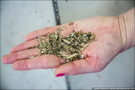 Cum de a produce alcoolul într-o scară industrială, și știința vieții (uleiuri MeOH) Cum de a produce alcool la scară industrială, știință și viață