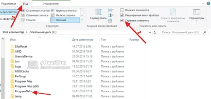 ProgramData care este motivul pentru care avem nevoie de un dosar și dacă este posibil să-l eliminați în Windows 10