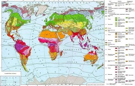 Natura Zonă Tundra caracteristici, localizare geografică, condiții naturale și de climă, sol,