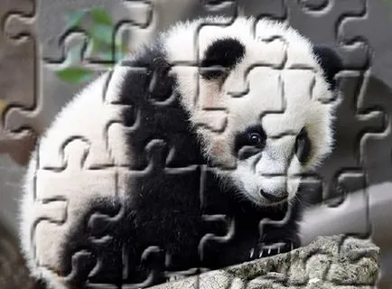Mergeți la grădina zoologică ca un numite animale sălbatice în angliyskienglishlittle (partea goală în sus) Mergeți la grădina zoologică ca un numite animale sălbatice în angliyskienglishlittle