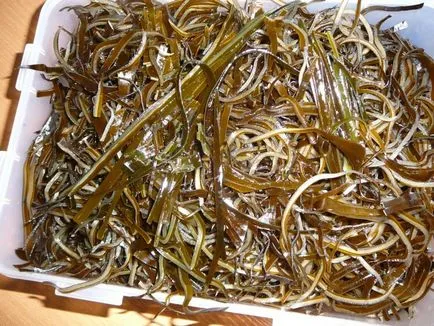 Pregătirea alge marine în casă, trecerea la alimente vii (de tranziție) Pregătirea alge marine în casă, trecerea la alimente vii
