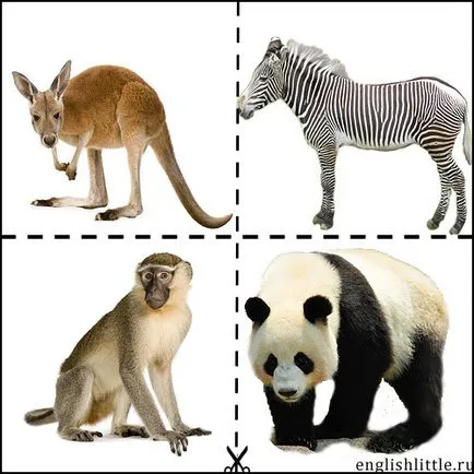 Mergeți la grădina zoologică ca un numite animale sălbatice în angliyskienglishlittle (Zoo) Mergeți la grădina zoologică ca un numite animale sălbatice în angliyskienglishlittle